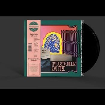 Vinyl I'm Just Chillin'  On Fire Book
