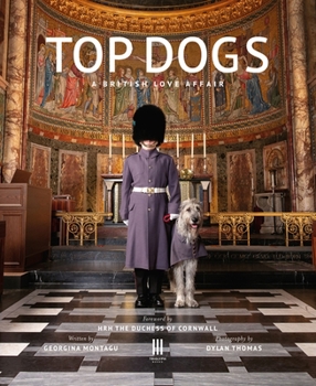 Hardcover Top Dogs: A British Love Affair Book