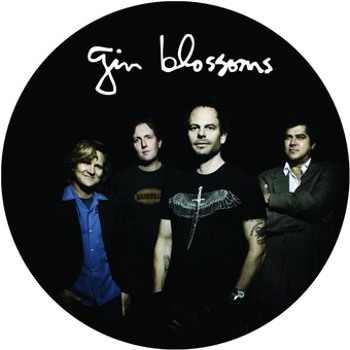 Vinyl Live In Concert   Picture Disc Vinyl Book