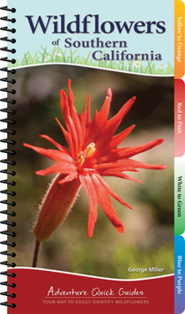 Wildflowers of Southern California: Your Way to Easily Identify Wildflowers - Book  of the Adventure Quick Guides