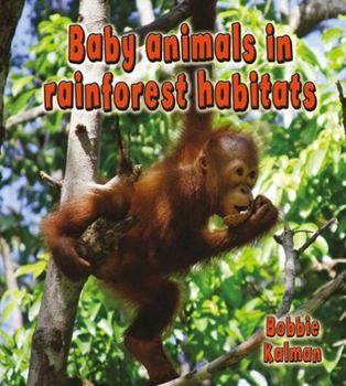 Paperback Baby Animals in Rainforest Habitats Book