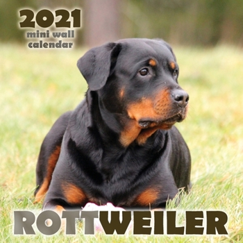 Paperback Rottweiler 2021 Mini Wall Calendar Book