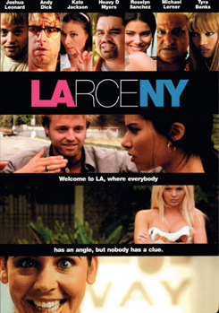 DVD Larceny Book