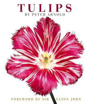 Hardcover Tulips Book