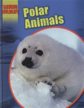Hardcover Polar Animals. Sonya Newland Book