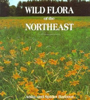 Paperback Wild Flora of the Northeast Book