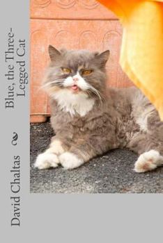 Paperback Blue, the Three Legged Cat Book