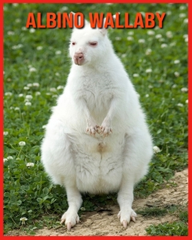 Albino Wallaby: Amazing Facts & Pictures
