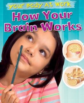 Library Binding How Your Brain Works Book