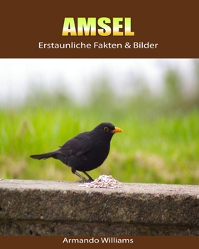 Paperback Amsel: Erstaunliche Fakten & Bilder [German] Book
