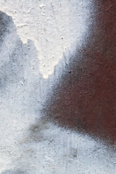 Happy Birthday Book: Happy Birthday Gifts Lined Journal Notebook  (78)  | Journal For Women, Friend Coworker  Birthday Gifts | Funny Gag Gift | Funny ... | 21 Birthday Gag Gifts For Best Friend)