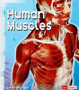Hardcover Human Muscles Book