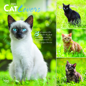 Calendar Cat Lovers 2023 Square Foil Book