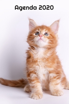 Agenda 2020: Hebdomadaire 1 Semaine par page Format A5 | Janvier 2020 à Décembre 2020 | Planificateur Organiseur Semainier avec Calendrier et Carnet ... Pour les Amoureux des Chats (French Edition)