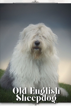 Paperback Old English Sheepdog: Dog breed overview and guide Book