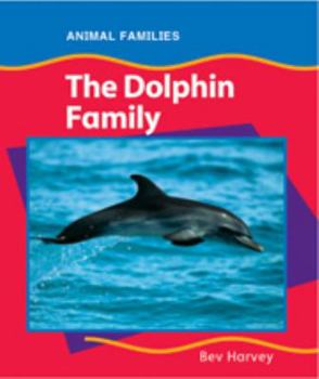 Hardcover The Dolphin Family (Anfam) Book