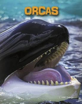 Orcas - Book  of the Living in the Wild: Sea Mammals