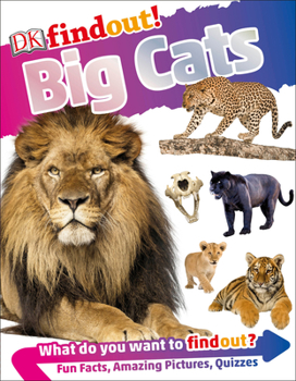 DKfindout! Big Cats - Book  of the DKfindout!