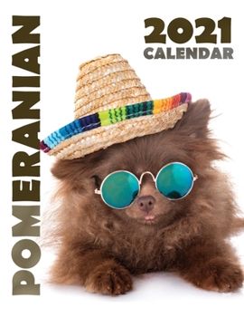 Paperback Pomeranian 2021 Calendar Book