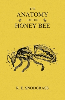 Paperback The Anatomy of the Honey Bee Book