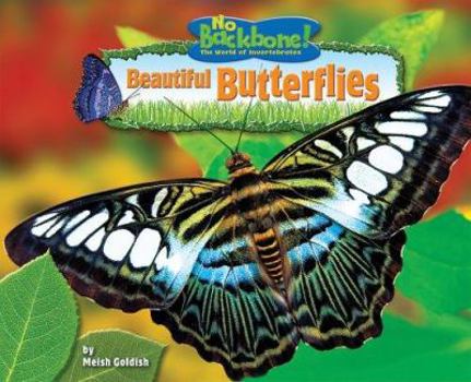 Beautiful Butterflies - Book  of the No Backbone! Insects
