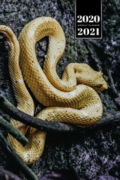 Snake Reptile Week Planner Weekly Organizer Calendar 2020 / 2021 - Yellow Brown: Cute Wildlife Animal Pet Bullet Journal Notebook Diary in 6” x 9” Inch Pocket Size