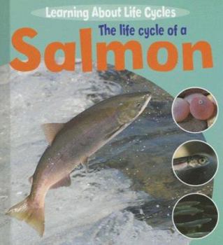 Library Binding The Life Cycle of a Salmon Book