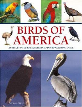 Paperback Birds of America Book