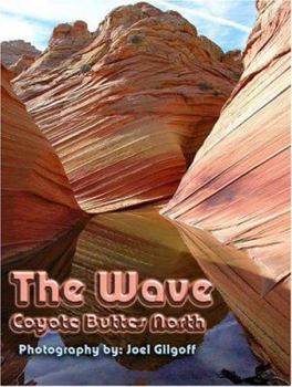 Paperback The Wave - Coyote Buttes North Book