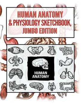 Paperback Human Anatomy Sketchbook, Jumbo Edition Book