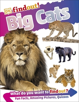 Flexibound Big Cats (DKfindout!) Book