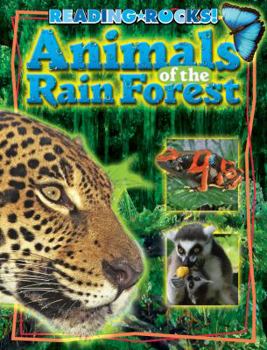 Library Binding Animals of the Rain Forest Book