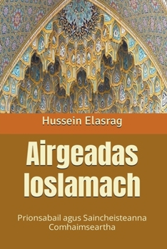 Paperback Airgeadas Ioslamach: Prionsabail agus Saincheisteanna Comhaimseartha [Irish] Book