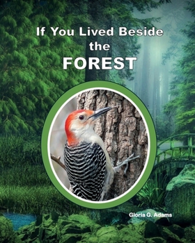 Paperback If You Lived Beside the Forest Book