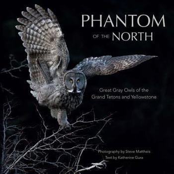 Phantom of the North: Great Gray Owls of the Tetons and Yellowstone