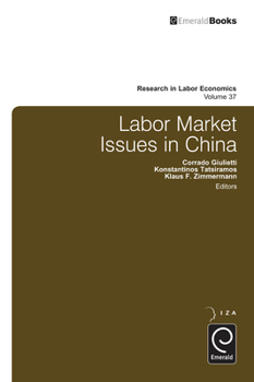 Hardcover Labor Market Issues in China Book