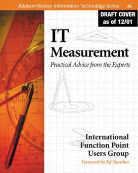 Paperback It Measurement: Practical Advice from the Experts Book