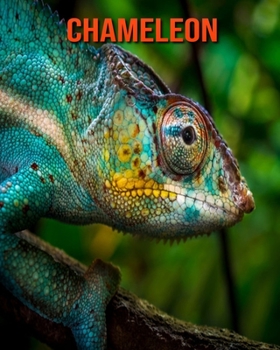 Paperback Chameleon: Beautiful Pictures & Interesting Facts Children Book About Chameleon Book