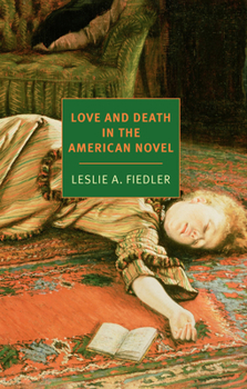 Paperback Love and Death in the American Novel Book