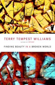 Paperback Finding Beauty in a Broken World Book