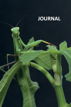 Paperback Journal: Mantises Handy Bullet Journal Dot Grid Daily Planner Student for notes on how to become an entomologist Book