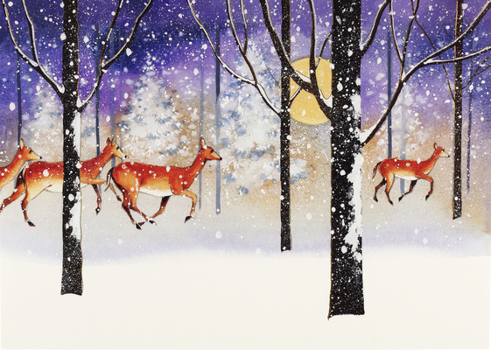 Misc. Deer in Snowfall Deluxe Boxed Holiday Cards Book