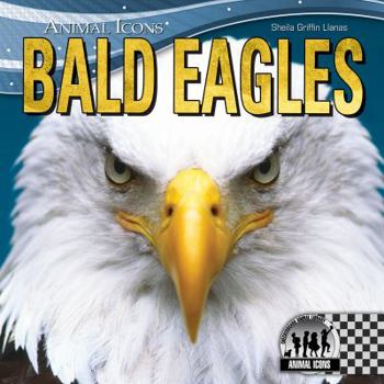 Library Binding Bald Eagles Book