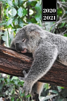 Koala Bear Rainforest Week Planner Weekly Organizer Calendar 2020 / 2021 - Hanging: Cute Wildlife Animal Pet Bullet Journal Notebook Diary in 6” x 9” Inch Pocket Size