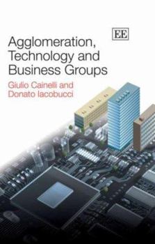 Hardcover Agglomeration, Technology and Business Groups Book