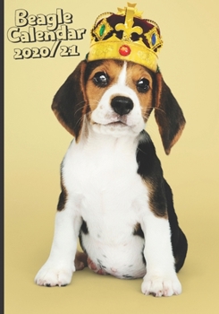 Paperback Funny Beagle Dog Daily Calendar 2020/2021: Funny Beagle Dog Daily Calendar Notebook Journal 2020/2021 - 4in1 Calendar+Monthly/Weekly Planner+Notebook Book