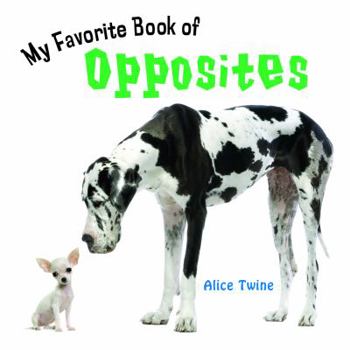 Board book My Favorite Book of Opposites Book