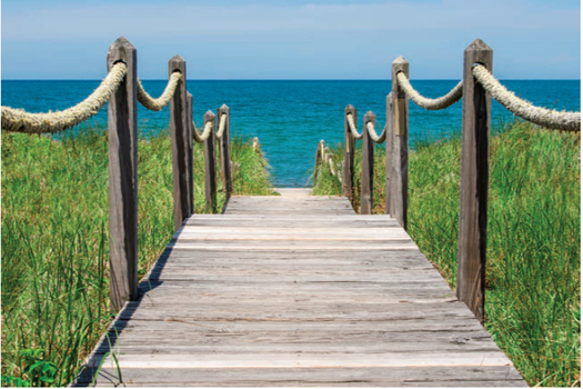 Paperback On Cape Cod Greeting Cards Book