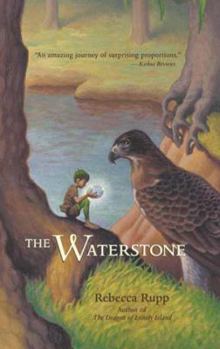 Paperback The Waterstone Book