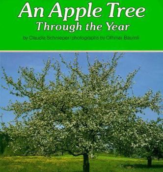 Hardcover An Apple Tree Through the Year Book